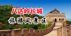 搞基刺激尖叫网页中国北京-八达岭长城旅游风景区